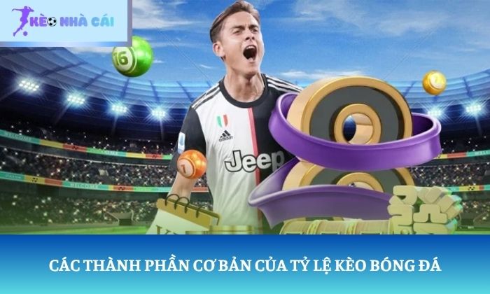 Tỷ lệ kèo bóng đá là gì