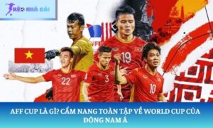 aff cup là giải gì