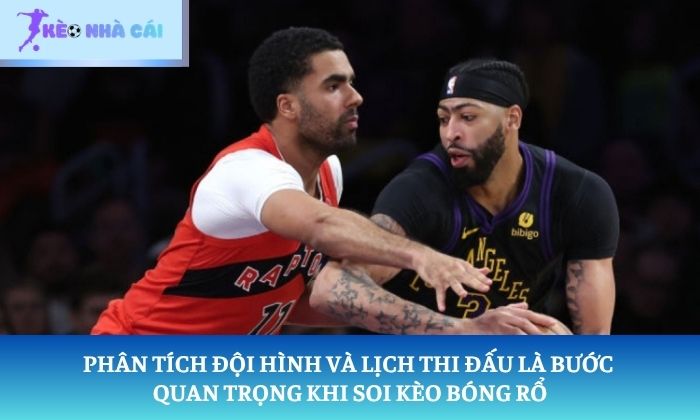 Cá cược bóng rổ Cá cược bóng rổ