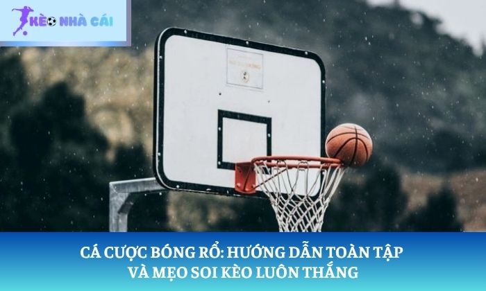 Cá cược bóng rổ: Hướng dẫn toàn tập và mẹo soi kèo luôn thắng 1 Cá cược bóng rổ