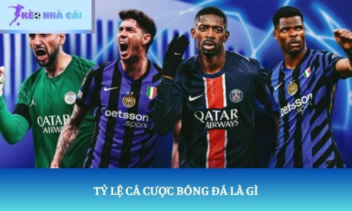 cách đọc tỷ lệ cá cược bóng đá