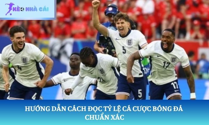 cách đọc tỷ lệ cá cược bóng đá