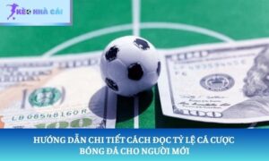 cách đọc tỷ lệ cá cược bóng đá