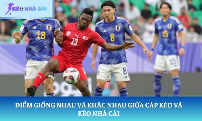 cáp kèo là gì