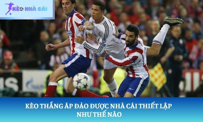 Cược thắng áp đảo là gì
