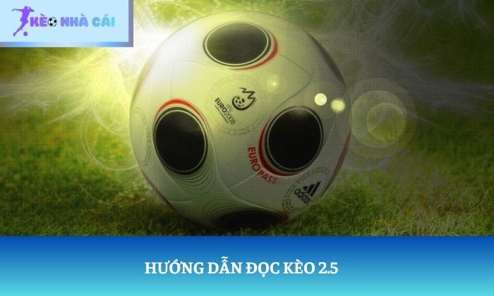 Kèo 2.5 là gì