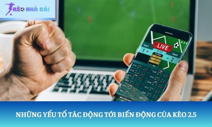 Kèo 2.5 là gì