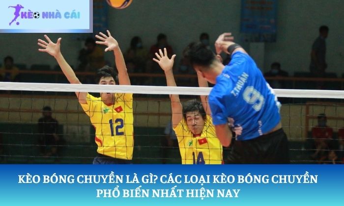kèo bóng chuyền