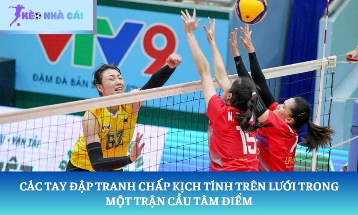 kèo bóng chuyền