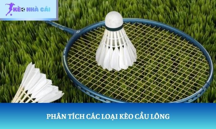 Kèo cầu lông