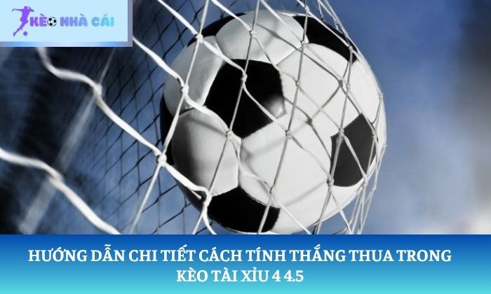 Kèo Tài Xỉu 4 4.5 là gì