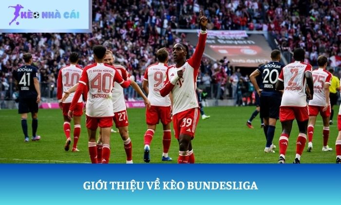 soi kèo Bundesliga