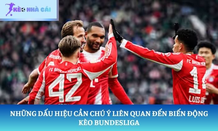 soi kèo Bundesliga