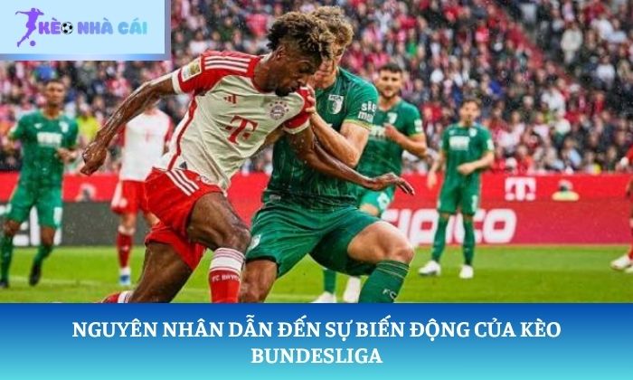 soi kèo Bundesliga