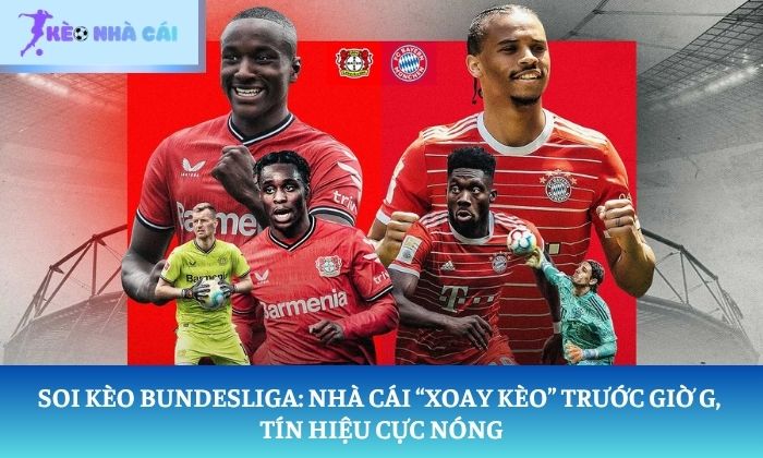 Soi kèo Bundesliga