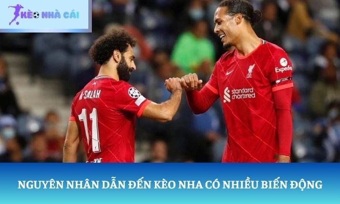 soi kèo Ngoại Hạng Anh