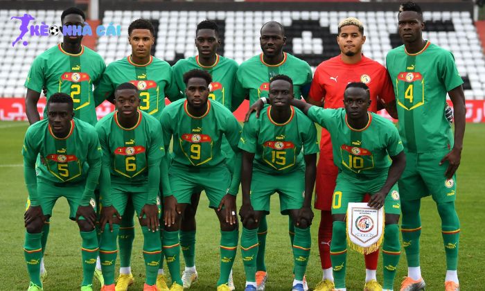 Đội tuyển bóng đá quốc gia Sénégal