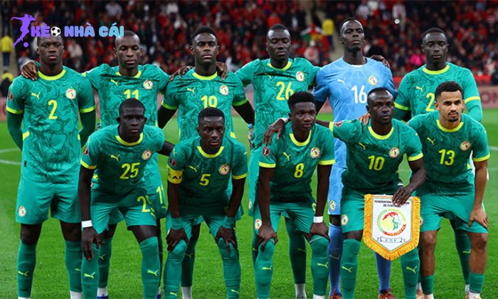 Đội tuyển bóng đá quốc gia Senegal
