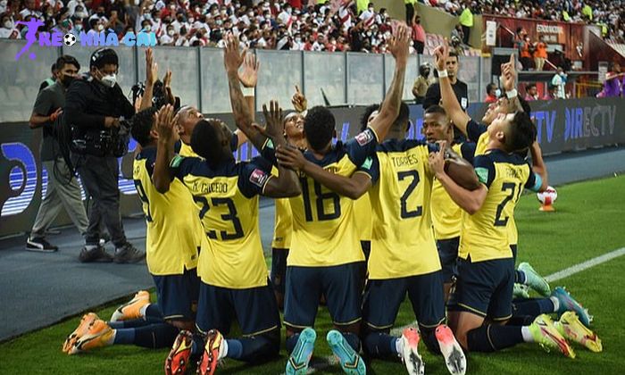 Đội tuyển Bóng đá Quốc gia Ecuador